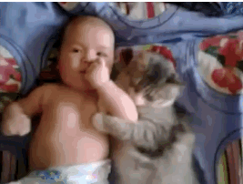 cat-baby