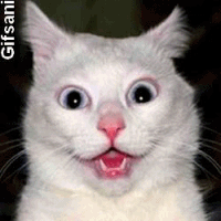 gifs-figuras-animadas-gato-espantado